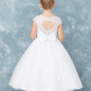 First-Communion-Dress-with-Vertical-Embroidery-and-Lace-Applique-back