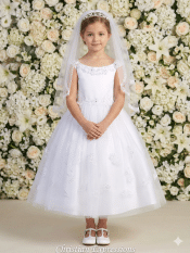 First Communion Dress Glitter tulle skirt with embroidered appliques