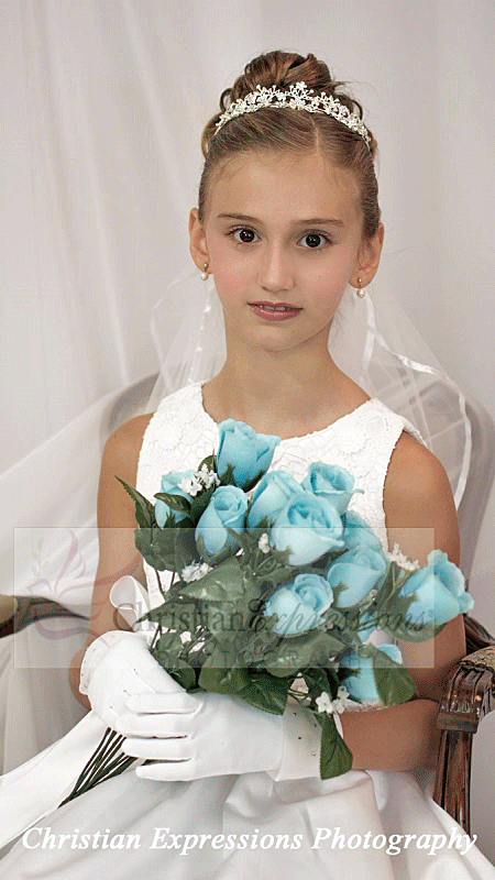 Silver Crystals Crown First Holy Communion Veil Tiara