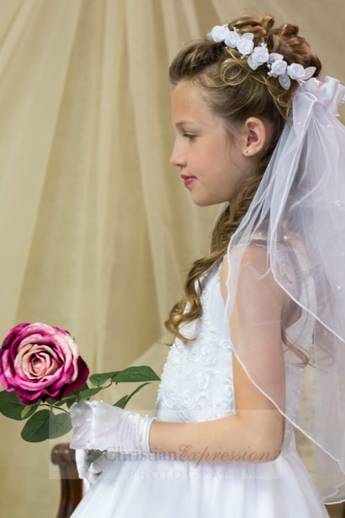 First Communion Wreath Veil with Satin Bows